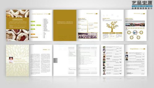 北京形象系统全案设计 从理念到落地的全方位构建